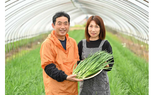 とちぎのニラ「ゆめみどり」500g (100g×5束) にら 栃木県産 肉厚 　※2024年1月～3月頃に順次発送予定