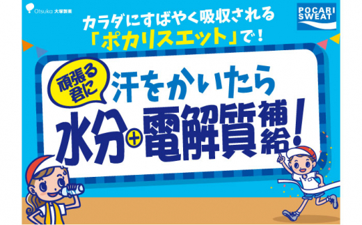 【熱中症対策】＜12回定期便＞ 500ml×24本 900ml×12本セット ポカリスエット 大塚製薬株式会社/吉野ヶ里町 [FBD020]