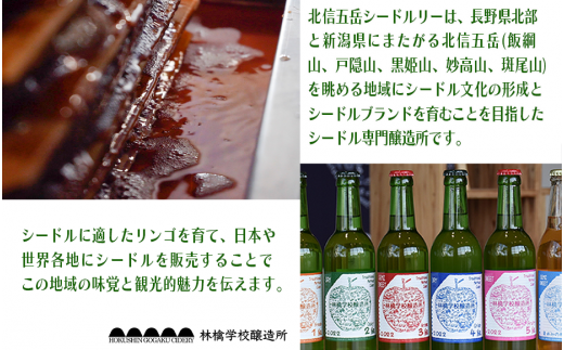 お酒 林檎学校醸造所 【辛口】トリプル・ジャック 500ml Alc.22% 氷結濃縮林檎酒 無発泡 北信五岳シードルリー 信州 りんご リンゴ 林檎 酒 醸造 アルコール 長野 28000円 長野県 飯綱町 [1876]