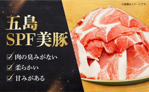 【年内発送 12月22日まで受付】美豚のもも肉切落し（500g×4パック） 長崎県/有限会社長崎フードサービス [42ADAB017] スピード 最短 最速 発送