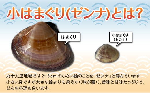 小はまぐり（ゼンナ）1.2kg（400g×3パック） ふるさと納税  貝 ぜんな ゼンナ 小はまぐり お吸い物 汁もの パスタ クラムチャウダー うどん 国産 千葉県 送料無料 SHF007