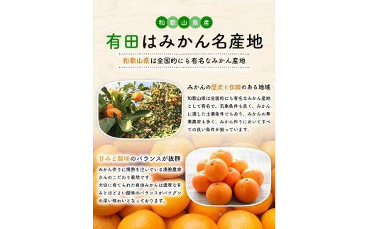 ご家庭用 完熟 有田みかん 約4kg【先行予約  2024年11月下旬～12月中旬発送 】【訳あり】【MS3-2】