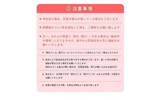 ご家庭用 完熟 有田みかん 約4kg【先行予約  2024年11月下旬～12月中旬発送 】【訳あり】【MS3-2】