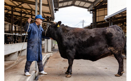 ＜A4ランク＞鹿児島県産黒毛和牛バラこま切れ(計1kg・250g×4P)【牛肉 黒毛和牛 和牛 牛 肉 バラ 小分け 個包装 炒め物 おかず 冷凍 国産 九州産 鹿児島県産 人気 食品 お祝い ギフト おすすめ 鹿児島県 種子島 中種子町 ふるさと納税 送料無料 BH06】