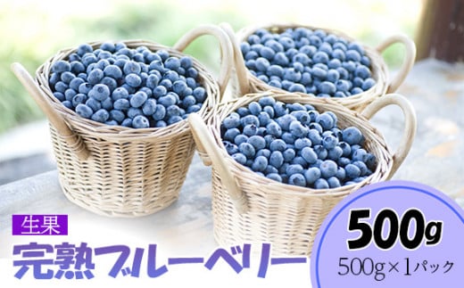 完熟ブルーベリー500g（生果）＜期間限定＞【ブルーベリー王国美里町からお届け！】[No.174]