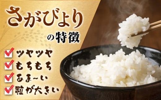 【2024年12月発送】【令和6年産】特A獲得！さがびより白米3kg 吉野ヶ里町/大塚米穀店 [FCW001]