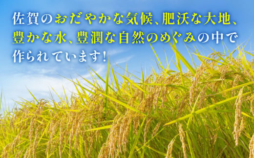 【2024年12月発送】【令和6年産】特A獲得！さがびより白米3kg 吉野ヶ里町/大塚米穀店 [FCW001]