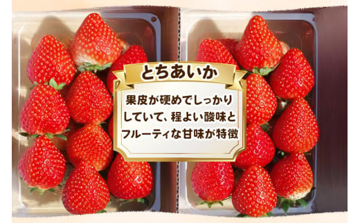 幸せを呼ぶハート型 栃木の新品種《とちあいか》280g×4P《12月より順次出荷》｜いちご 苺 イチゴ フルーツ 果物 産地直送 [0564]