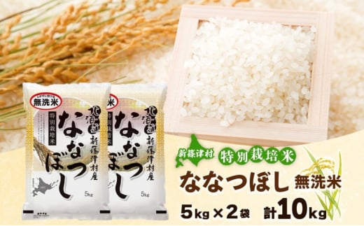 北海道 特別栽培 令和6年産 ななつぼし 10kg 無洗米 精米 米 白米 お米 新米 ごはん ご飯 ライス 道産米 ブランド米 新しのつ米 ふっくら 食味ランキング  産地直送 カワサキ森田屋 送料無料