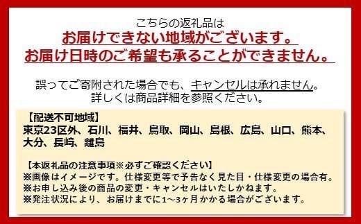 【100％完成納品】PELTECH（ペルテック）後チャイルドシート付子供乗せ適用電動アシスト自転車 前24/後20内装3段 TDH-408L-CH【ブルー】