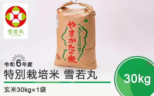 新米 令和6年12月下旬発送 雪若丸30㎏ 玄米 令和6年産 ja-yugxb30-12s