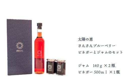 ブルーベリー ジャム 140g × 2瓶 ビネガー 酢 調味料 500ml × 1瓶 セット 朝食 ヨーグルト に合う 高知県 須崎市