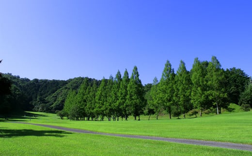 錦山カントリークラブ 平日セルフプレー券 ゴルフ場利用券（平日券1枚・1名様分）　ゴルフ場利用券 ゴルフプレー券