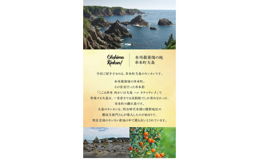 【フルーツ王国 和歌山県からお届け】串本大島のキンカン 1kg （2L～L） 金柑 きんかん 果実 フルーツ 国産 和歌山【jak101】