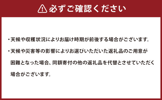 【令和6年産新米】〈白米〉 雪若丸 10kg ＜1回のお届け＞