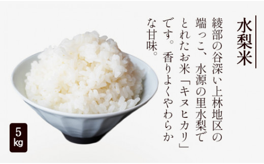 【定期便3回】綾部市特産品「上林セット」 綾部 京都 鶏肉 鶏 食べ比べ 米 お米 ふりかけ とち餅 野菜セット 定期便