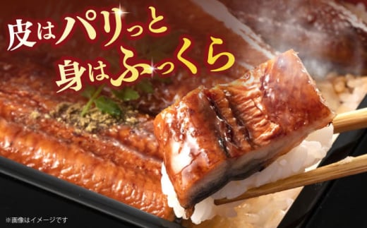 鰻のかば焼き1尾 / 大村市 / お料理やまうえ [ACZL002]