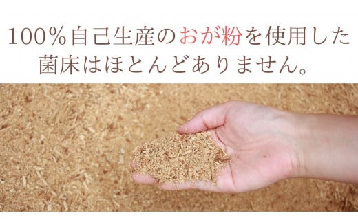 琴引舞茸まるごと２株！約400ｇ×２株【 きのこ キノコ 舞茸 まいたけ 完全無農薬 贈答用  Ａ-93 】