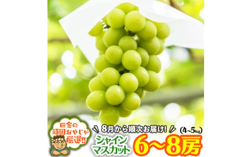 田舎の頑固おやじが厳選！シャインマスカットはこれだっぺセット6～8房入り【令和6年8月から順次お届け】