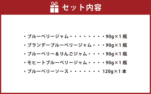 きび糖仕込みのブルーベリージャム 5種セット