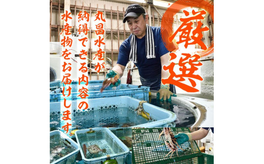  天然 サザエ (約2kg) 直送 産直 漁師 貝 魚介 さざえ 栄螺 獲れたて 刺身 塩焼き バター焼き バーベキュー 酒蒸し 冷蔵 豊後水道 鮮魚 大分県 佐伯市【CS27】【 (有)丸昌水産】