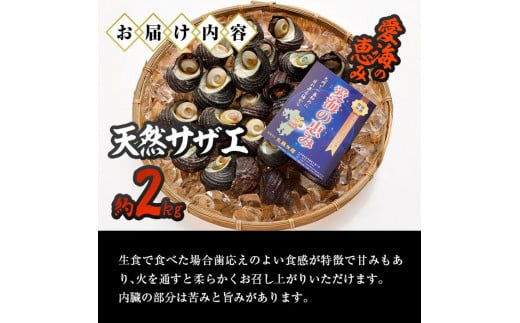  天然 サザエ (約2kg) 直送 産直 漁師 貝 魚介 さざえ 栄螺 獲れたて 刺身 塩焼き バター焼き バーベキュー 酒蒸し 冷蔵 豊後水道 鮮魚 大分県 佐伯市【CS27】【 (有)丸昌水産】