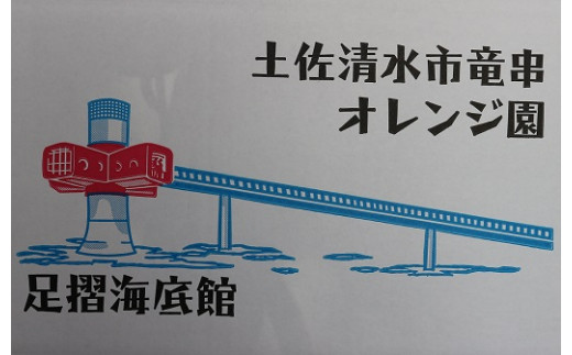 【全2回定期便】訳ありぽんかん５kg＆柑橘果汁飲料３種（1L×3本）みかん デコポンの親 フルーツ 先行予約 ジュース チューハイ用 ぽんかん味 タンカン味 土佐文旦味 小夏味【J00007】