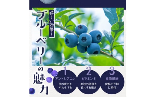 【2025年分先行予約】 北海道十勝芽室町　上美生のたからばこ　上美生の生ブルーベリーとポストカードのセット　me029-002-24c