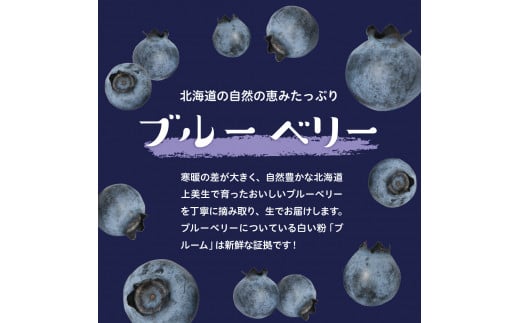 【2025年分先行予約】 北海道十勝芽室町　上美生のたからばこ　上美生の生ブルーベリーとポストカードのセット　me029-002-24c