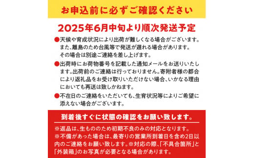 【2025年先行予約】ふじ農園のパッションフルーツ 12個入　C031-004