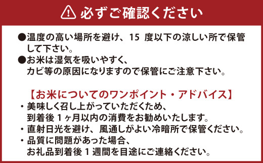 【令和4年産】棚田米 ヒノヒカリ (5kg) と 桜野園 ほうじ茶 ティーバッグ セット