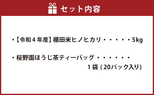 【令和4年産】棚田米 ヒノヒカリ (5kg) と 桜野園 ほうじ茶 ティーバッグ セット