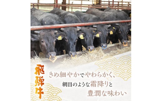 [№5533-0241]岐阜県海津市産　飛騨牛シャトーブリアン(150g×4枚)