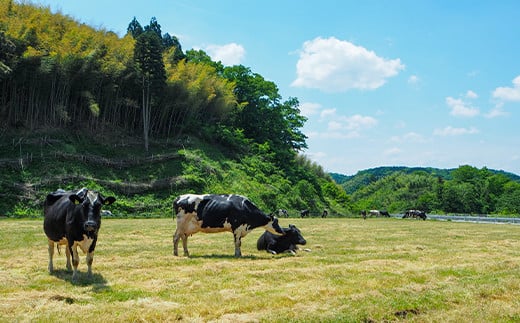 デラックスチーズの詰め合わせ［木次乳業］【島根県 雲南市 牛乳 ぎゅうにゅう ミルク 送料無料 ランキング 国産 栄養 健康 栄養豊富 乳製品 消費拡大 春 夏 秋 冬 冷蔵 冷蔵保存 さっぱり 】