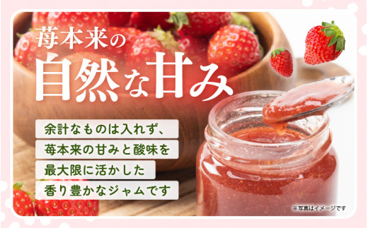 【福井県美浜町産】 苺を使った 苺ジャム × 6個セット 着色料・保存料不使用！ [m03-a042]