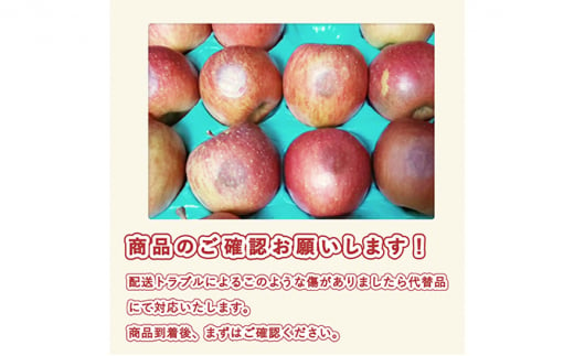 5月 冷た～い ふじりんご 約3kg（有袋栽培 家庭用・8～11玉程度  CA貯蔵）【青森りんご・マルコウアップル】