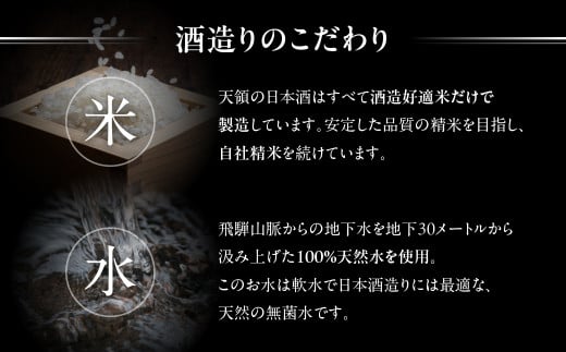 （11月下旬より順次発送）（迎春セット）純米しぼりたて生酒　新酒天領 720ml・純米しぼりたて 生酒発泡にごり酒  720ml  酒 お酒 天領酒造 天領 下呂市 限定