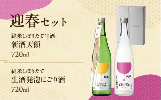 （11月下旬より順次発送）（迎春セット）純米しぼりたて生酒　新酒天領 720ml・純米しぼりたて 生酒発泡にごり酒  720ml  酒 お酒 天領酒造 天領 下呂市 限定