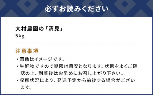 【先行予約】大村農園のみかん 清見 5kg ミカン 蜜柑 オレンジ 果実 旬のフルーツ 大分県産 九州産 津久見市 国産