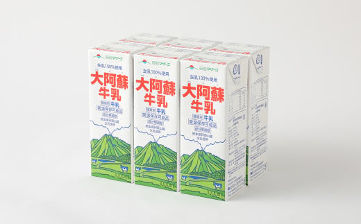 【6ヶ月定期便】 生乳 100％ 大阿蘇牛乳 ロングライフ 牛乳 1000ml×6本入り 合計6L