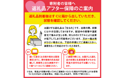 【2024年産 先行予約】 洋なし「【横綱】ラ・フランス」3kg JA提供　hi003-110