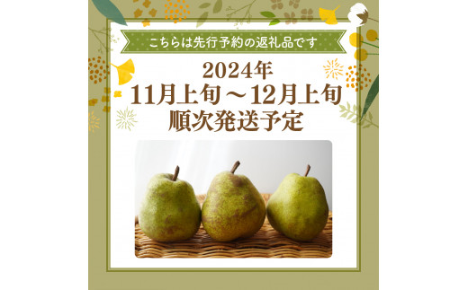 【2024年産 先行予約】 洋なし「【横綱】ラ・フランス」3kg JA提供　hi003-110