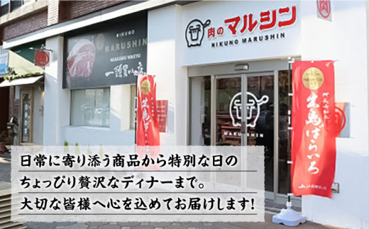 長崎和牛 シャトーブリアン 約150g×2枚 計300g以上 / 牛肉 肉 牛 和牛 国産牛 ステーキ 【合同会社　肉のマルシン】 [RCI051]