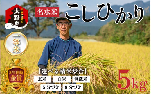 【令和６年産】越前大野産 一等米 帰山農園の棚田育ちコシヒカリ (5分づき) 5kg × 1袋 