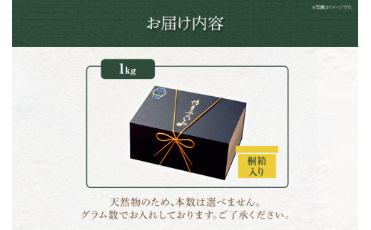 ご贈答用 「辛子明太子」1kg（2段桐箱入り） めんたいこ 惣菜 お取り寄せ グルメ 福岡 送料無料