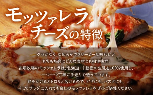 【3回定期便】花畑牧場 フレッシュチーズ2種セット（メダルモッツァレラ 約500g＋モッツァレラひとくちタイプ 約500g）