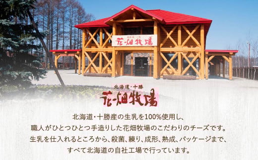 【3回定期便】花畑牧場 フレッシュチーズ2種セット（メダルモッツァレラ 約500g＋モッツァレラひとくちタイプ 約500g）