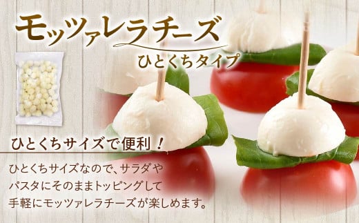 【3回定期便】花畑牧場 フレッシュチーズ2種セット（メダルモッツァレラ 約500g＋モッツァレラひとくちタイプ 約500g）