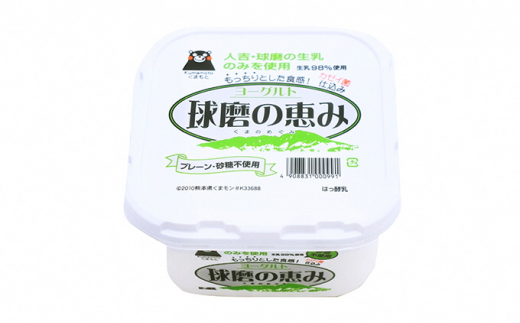 定期便3回 球磨の恵ヨーグルト 1kg×4パック（砂糖不使用）【配送不可：沖縄、離島】