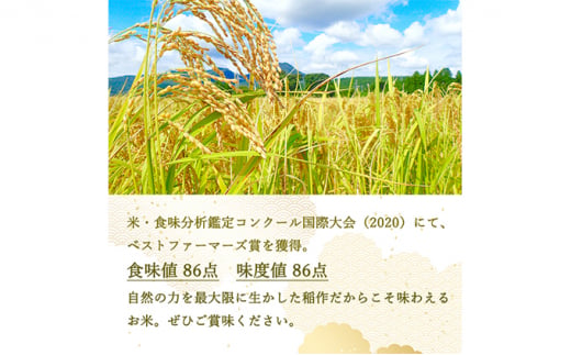 【12ヵ月定期便】ベストファーマーズ賞受賞 長野県産 いのちの壱 2kg（無洗米） [№5915-0844]